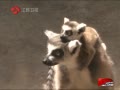 ۡ ¿赱Ů ָʵԱ