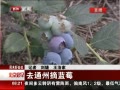 硷 ȥͨժݮ
