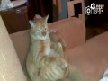 bug Ц