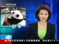 ֱ䡷 Բ ¼ ̽»