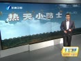 簲 Իƻ