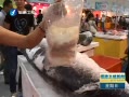 š 沩 