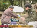 ӻɴıԼ Ͷ