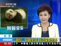 ֱ䡷 Բ˫ȫ Լ̽