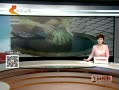 Ұ 棺Ȫж