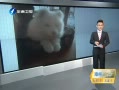 簲 ջ23ͭ