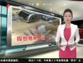 š 麣ƻһھٿشĲ