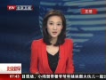 硷 ůҹ ԲԲ 2013̨رĿֱ