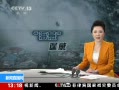 ֱ䡷 Խϣ13 Ƴʧ