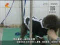 񳯡 ŭ м