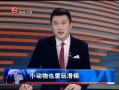 ȫλ СҲ滬