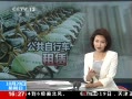 ֱ䡷  г շѵ ȫа쿨6.2