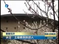 š ¥