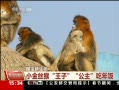 ֱ䡷  С˿ Է