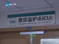 һȡ ݣ𱯾11Ů⸸