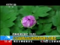 ֱ䡷 22̨¼Ƶÿ8㲥ĵ