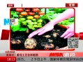 ߷塷 ֲ