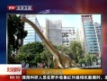 硷 ۿչ