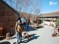 ƵСh Цں