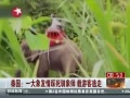 Ƶ̩һѱʦο