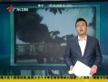 㶫糿 컯 㳧ͨ
