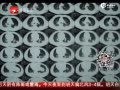 ޸鲻 Ů