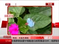 ߷塷 ɫ