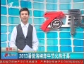 7š 2013ɱţֻȿĻ