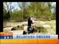 7š ָϵˮ 