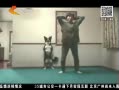 񳯡 ȤζƵ