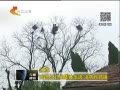 񳯡 80ֻȸ æץ