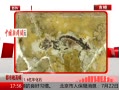 ߷塷 1.6껯ʯ