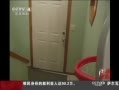 йš СͶ Ͷ츳
