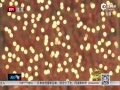 Ƶ-г佱 󽱳Ӯ