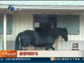 12㱨 ˵