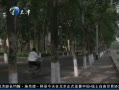š У2013113397