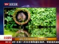 硷 ӰʦĿɰˮʳ