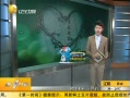 һʱ 20130804 Ļ дܻӭ