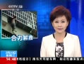 ֱ䡷 ͯͷ˺