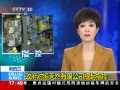 ֱ䡷  ԺȻ޹˾ָ