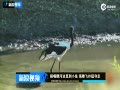 ֳٺӱٵС ޺Ͷ