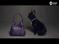 COACHһCOACH PUPSƬ