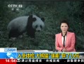 ֱ䡷  붬 è16