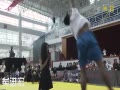 Ƶ-3X3վ ӽԾ켼