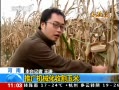 ֱ䡷 ϣƹеո