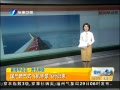 簲 ʽɻй