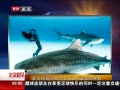 硷 ӢŮģȻ5׾