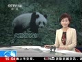 ֱ䡷 èĿɰ˲