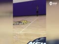 Ƶ-NBAķλǰѵ