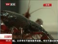 硷 ϴСϺ